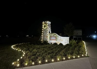 Stacy Crossing Neighborhood Lights